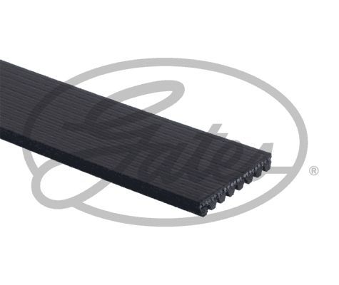 Kilerem GATES 8PK2465