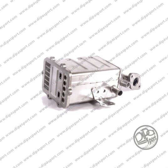 DIPASPORT EGR313DPSN EGR-modul