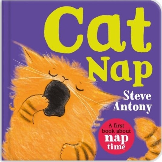 Cat Nap