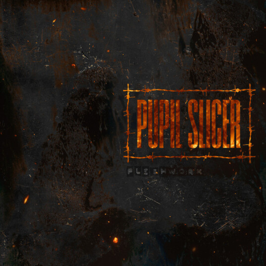 Pupil Slicer Fleshwork CD