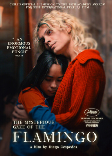 The Mysterious Gaze of the Flamingo 2025 DVD