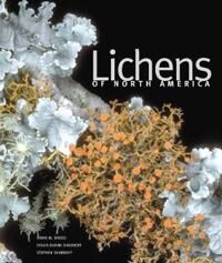 Lichens Of North America Av Irwin M. Brodo, Sylvia Duran Sharnoff, Stephen Sharnoff