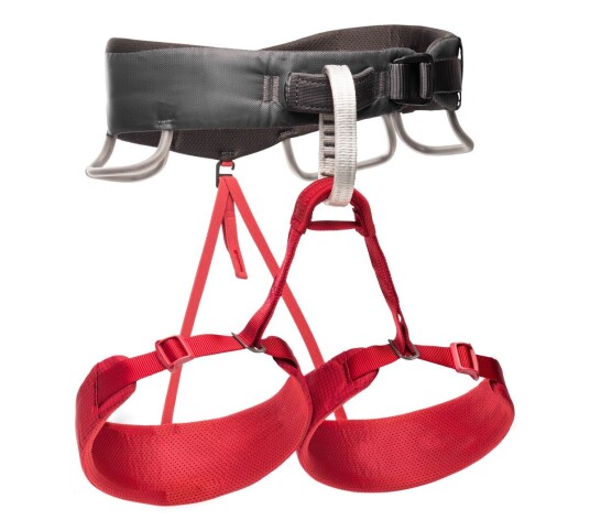 Black Diamond Momentum Harness - W's Wild Rose XS Black Diamond Momentum Harness - W's Wild Rose XS