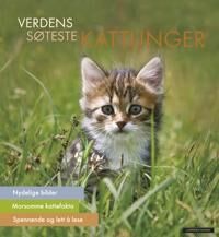 Verdens Søteste Kattunger Verdens Søteste Kattunger