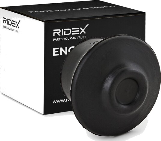 RIDEX 247E0155 Motorfeste