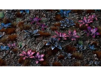 Spillere Gresslaserplanter - Alien Rosette - Space Rosette