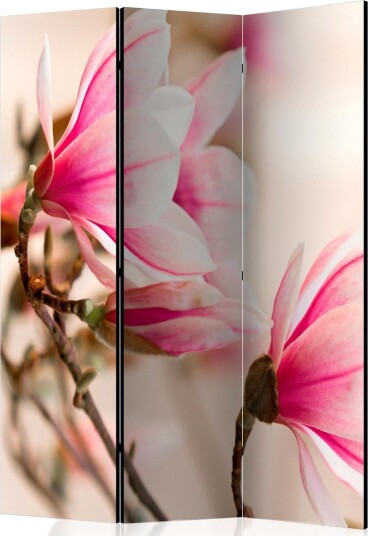 Romdeler - Branch of magnolia tree 135x172 - Artgeist sp. z o. o.
