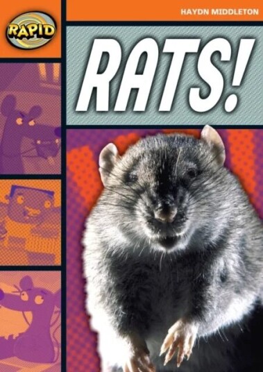 Rapid Reading: Rats! (Stage 4, Level 4b) Av Haydn Middleton Rapid Reading: Rats! (Stage 4, Level 4b) Av Haydn Middleton