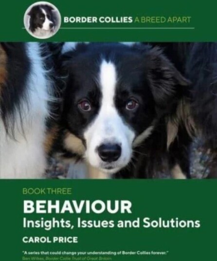 Behaviour: INsights, Issues and Solutions av Carol Price