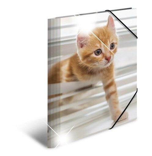 HERMA Elasticated folder glossy animals A4 PP cats HERMA Elasticated folder glossy animals A4 PP cats