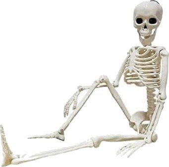 Halloween Bevegelig Skjelett i Full Størrelse WELLNGS