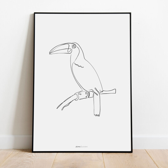 Tukan av Pluma Posters Tukan av Pluma Posters