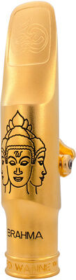 Theo Wanne Brahma Tenor 6* Gull