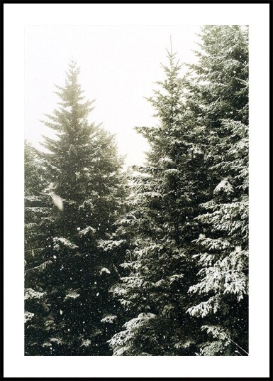 Snowy Evergreen Forest Plakat Plakat / 21x30cm