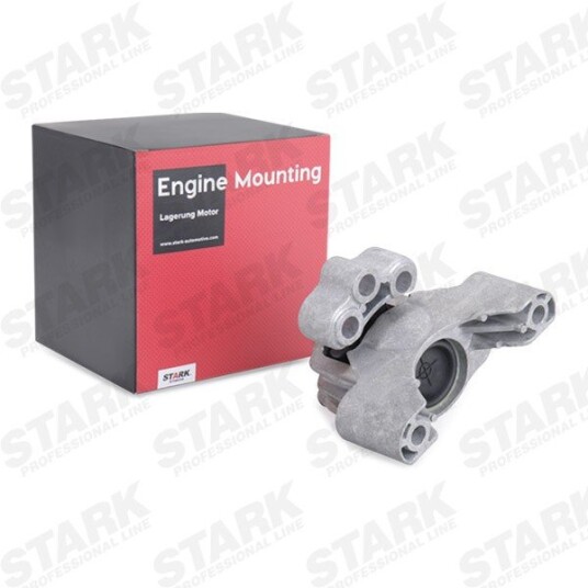 Motorfeste STARK SKEM-0660514