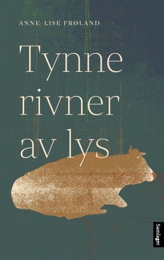 Tynne rivner av lys Tynne rivner av lys