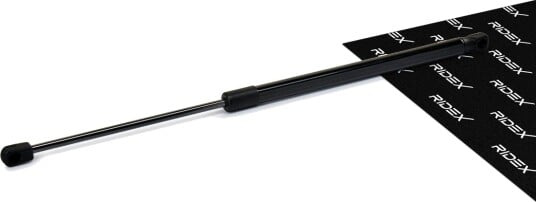 RIDEX 219G0202 Baklukedemper