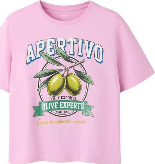 Name It Nkfhulina Ss Nreg Top Pink 116