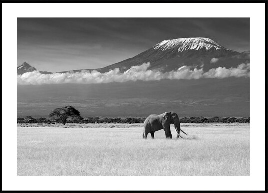 Lost Colors II Plakat / 70x100cm