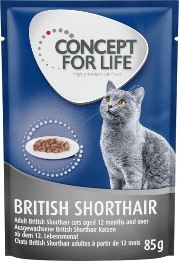 Concept For Life British Shorthair Adult Ragout-Kvalitet 12 X 85 G