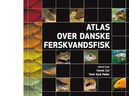 Atlas Over Danske Ferskvandsfisk | Redaktion Henrik Carl & Peter Rask Møller | Språk: Dansk