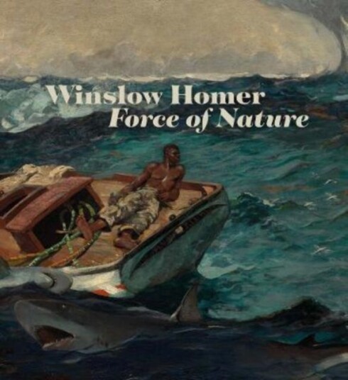 Winslow Homer Av Christopher Riopelle, Christine Riding, Chiara Di Stefano