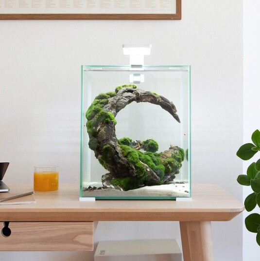 Shrimp Set Smart Led Aquarium White 30 L- 29X29X35 cm