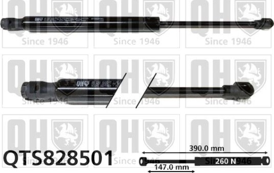 QUINTON HAZELL QTS828501 Baklukedemper