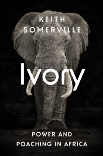 Ivory Av Keith Somerville