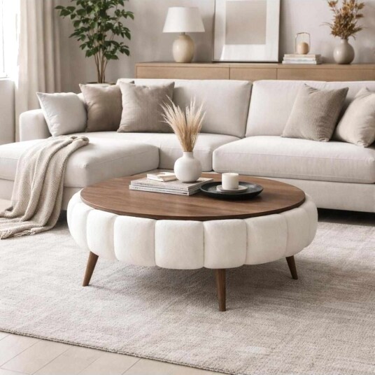 Coffee Table Homitis -