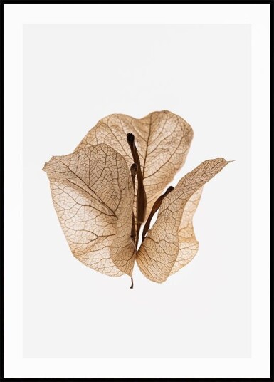 Gilded Pause Plakat Plakat / 21x30cm