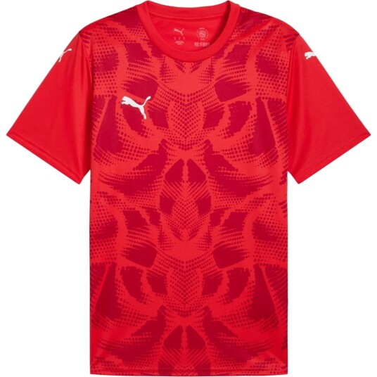 PUMA teamULTIMATE Trening T-skjorte Herre