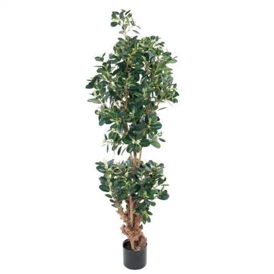 Mr Plant Panda Fiken 180 cm Mr Plant Panda Fiken 180 cm