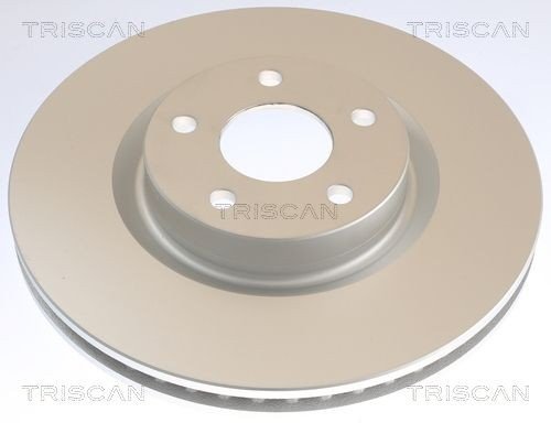 Bremseskive TRISCAN 8120 16191C
