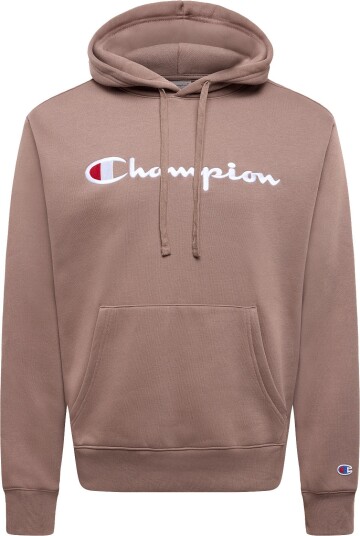 Champion Hooded Sweatshirt Brown XS