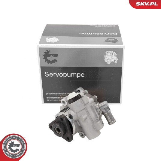 Servopumpe ESEN SKV 10SKV329