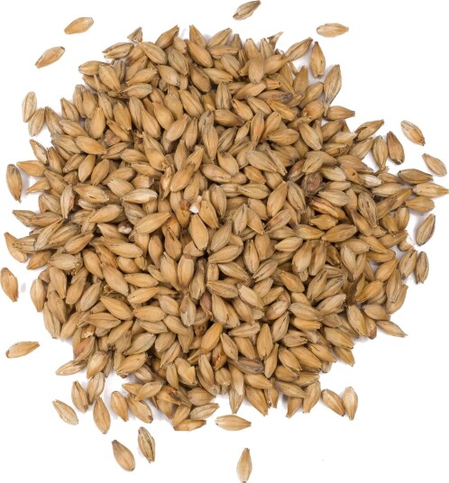 Weyermann Vienna malt 1 Kg Knust 6-9 EBC Weyermann