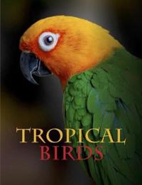 Tropical Birds Av Tom Jackson