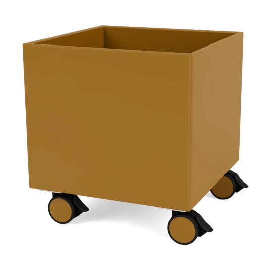 Montana Colour Box I - S6161 Amber Montana Colour Box I - S6161 Amber