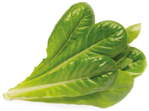 Click and Grow Refill Romaine Salat, 3-pakning Click and Grow Refill Romaine Salat, 3-pakning