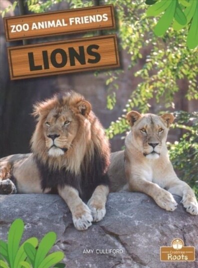 Lions Lions