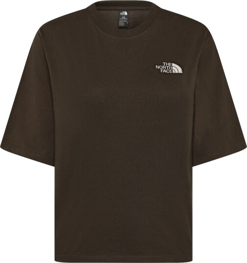 The North Face W Hike Picnic Boxy Ss Tee Graphic Brown L