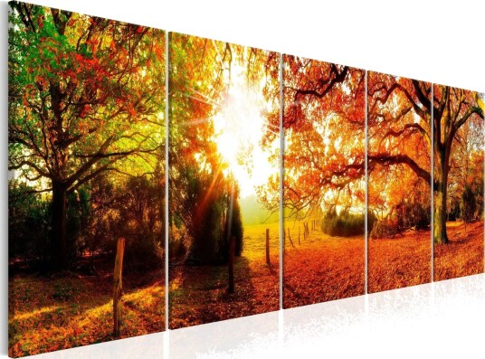 Bilde Enchanting Autumn 200x80 Artgeist sp. z o. o.