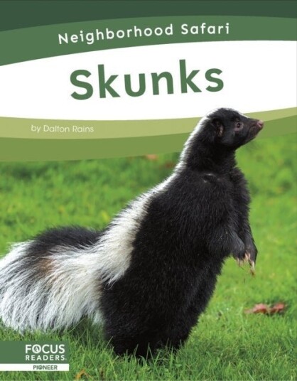 Skunks Skunks