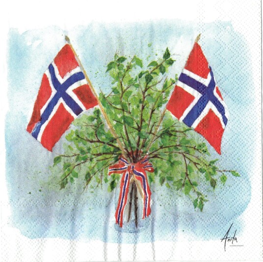 17. mai-stemning servietter lunsj