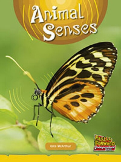 Animal Senses Animal Senses