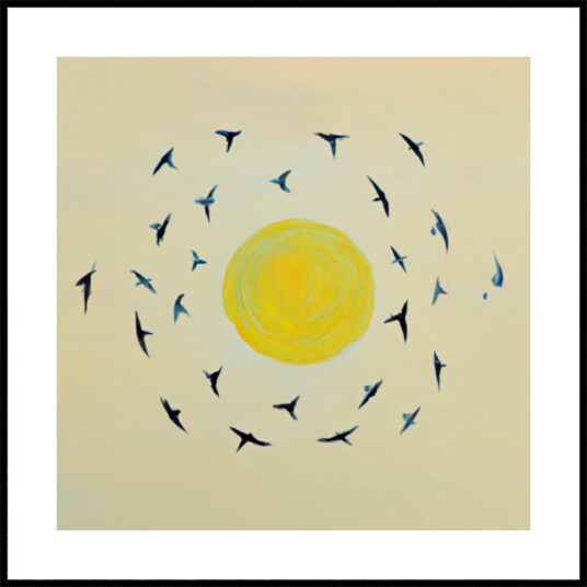 Birds Circling Sun Plakat / 50x50
