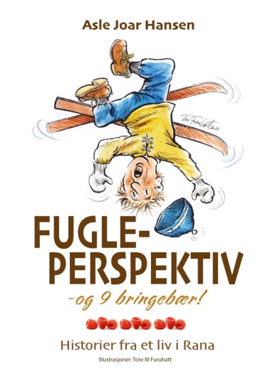 Fugleperspektiv Og 9 Bringebær Av Asle Joar Hansen Fugleperspektiv Og 9 Bringebær Av Asle Joar Hansen