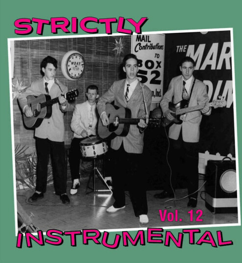 Diverse Artister Strictly Instrumental 12 CD