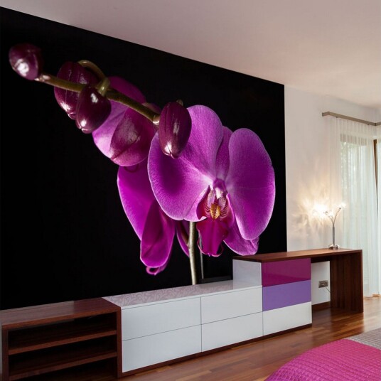 Fototapet Elegant Orchids 250x193 - Artgeist sp. z o. o.